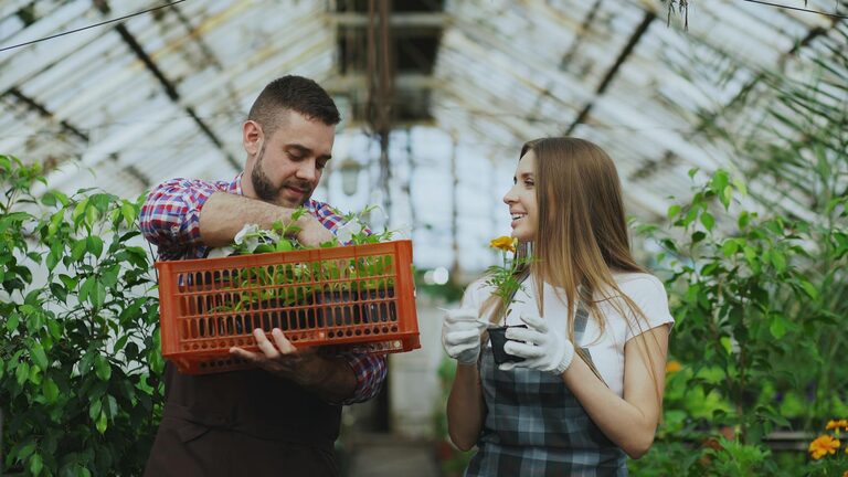 Easy Tips for Maintaining a Healthy Indoor Garden Throughout the Year